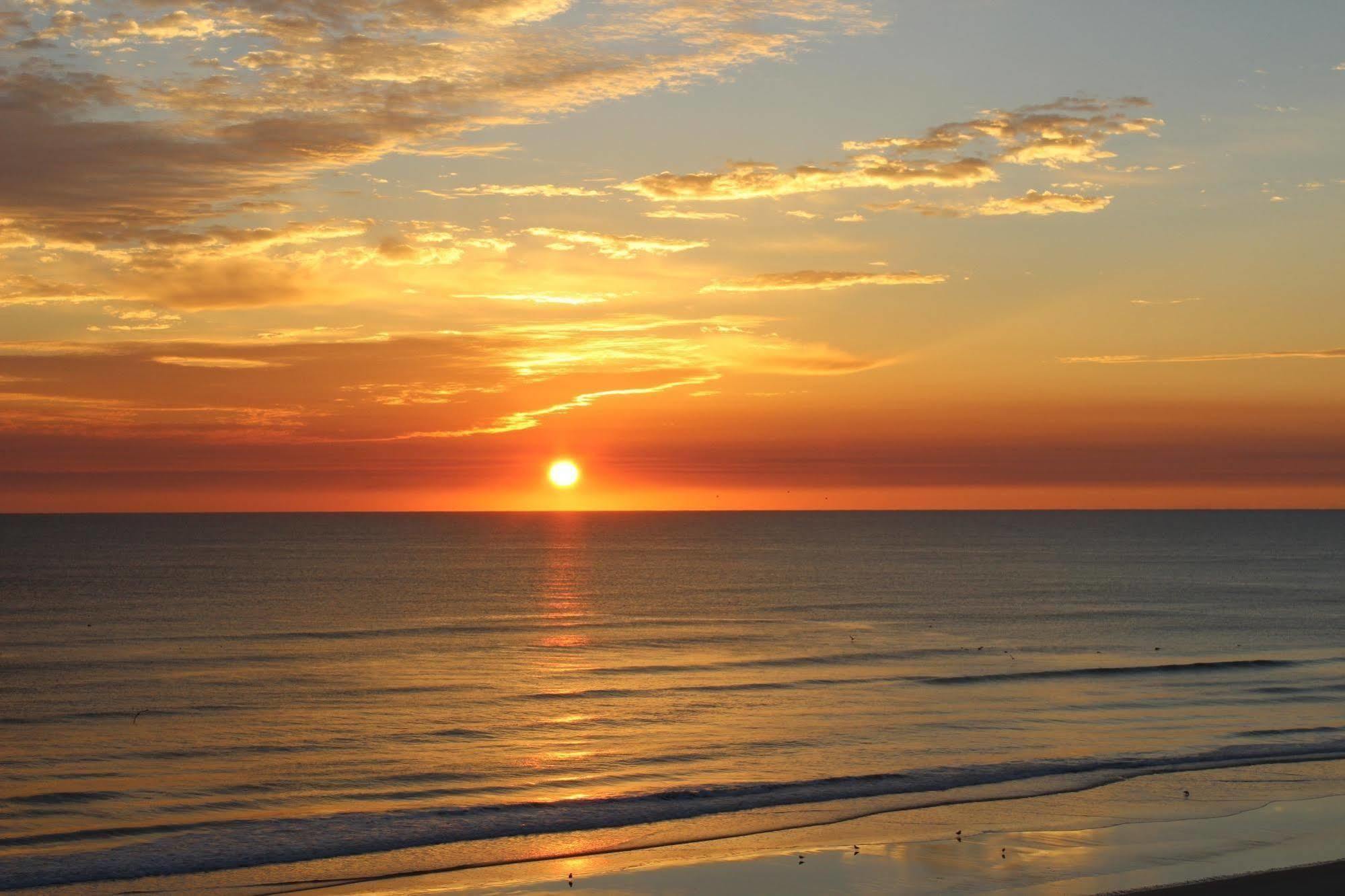 Sea Club IV Resort Daytona Beach Shores Esterno foto